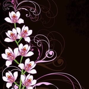 Meet your Posher, Ted